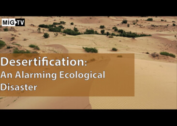 Desertification: An Alarming Ecological Disaster