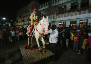 Get off your high horse: Abuse of horses in Indian weddings