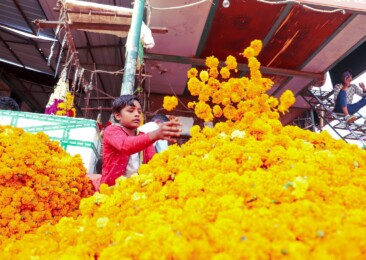 Ghazipur flower market blooms again