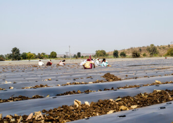 Need to be vigilant against farmers’ exploitation by large companies: Activists