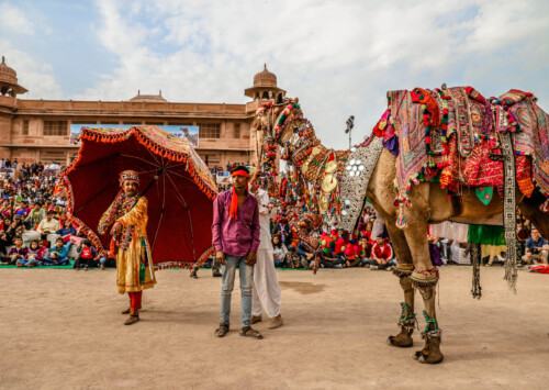Bikaner camel festival: A captivating affair
