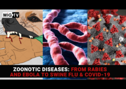 Zoonotic diseases: From Rabies and Ebola to Swine Flu & Covid-19