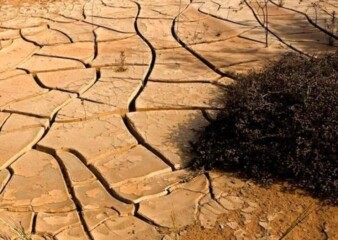 Climate Action Network seeks climate justice for Africa at CoP 27