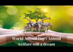 World Animal Day : Animal welfare still a dream