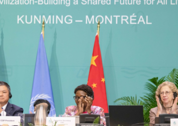‘Landmark’ deal to save biodiversity reached at COP15 in Montreal