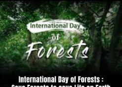 International Day of Forests : Save Forests to save Life on Earth