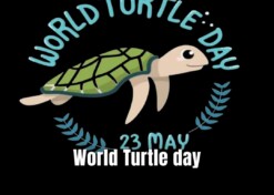 World Turtle day