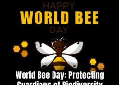 World Bee Day: Protecting Guardians of Biodiversity