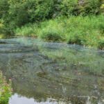 New water pollution monitoring system set to make a splash