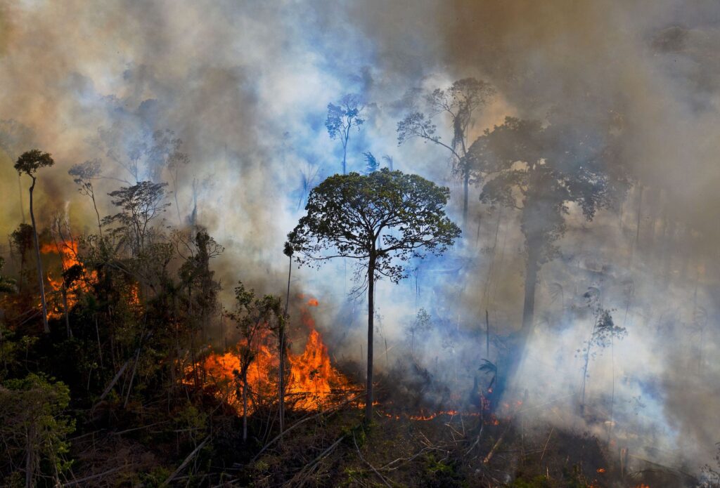 Amazonia are emitting more carbon dioxide