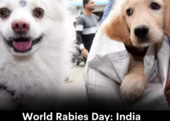 World Rabies Day: India Most Vulnerable
