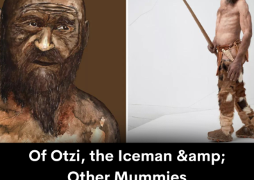Of Otzi, the Iceman & Other Mummies