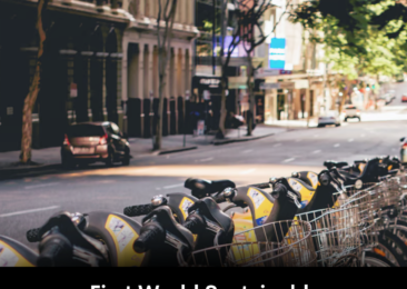 First World Sustainable Transport Day