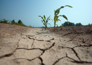 Unprecedented planetary drought emergency, says ‘Global Drought Snapshot’