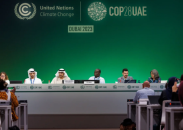 What is expected and what is not expected from COP28 in Dubai