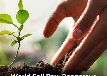 World Soil Day: Dangerous Levels of Losses