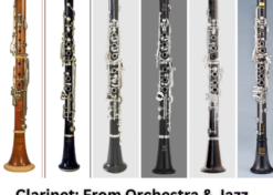 Clarinet: From Orchestra & Jazz to Hindustani Classical