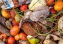 1 billion meals wasted daily in 2022: UNEP
