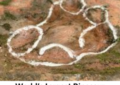 World’s Largest Dinosaur Footprints