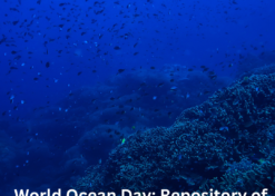 World Ocean Day: Repository of Life Under Attack