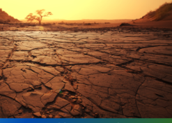 World Day to Combat Desertification & Drought