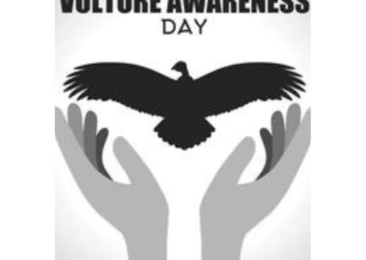 International Vultures Awareness Day