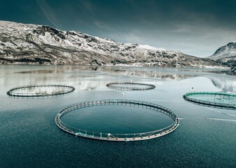 SGS launches comprehensive PFAS testing services