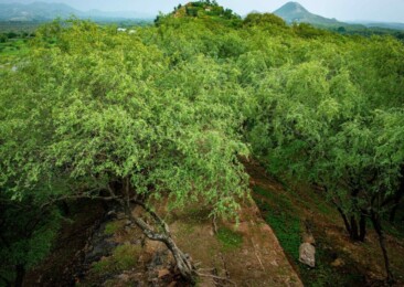Indian villages that are turning the tide on environmental degradation