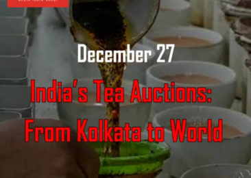 India’s Tea Auctions: From Kolkata to World