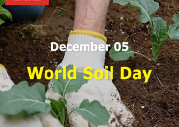 World Soil Day