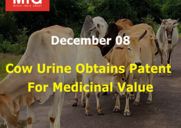 Cow Urine Obtains Patent’s For Medicinal Value