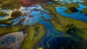 Biodiversity at risk, IPBES calls for urgent action