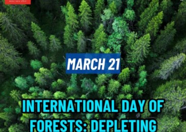 International Day of Forests: Depleting Earth’s Vital Resources