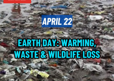Earth Day : Warming, Waste & Wildlife Loss