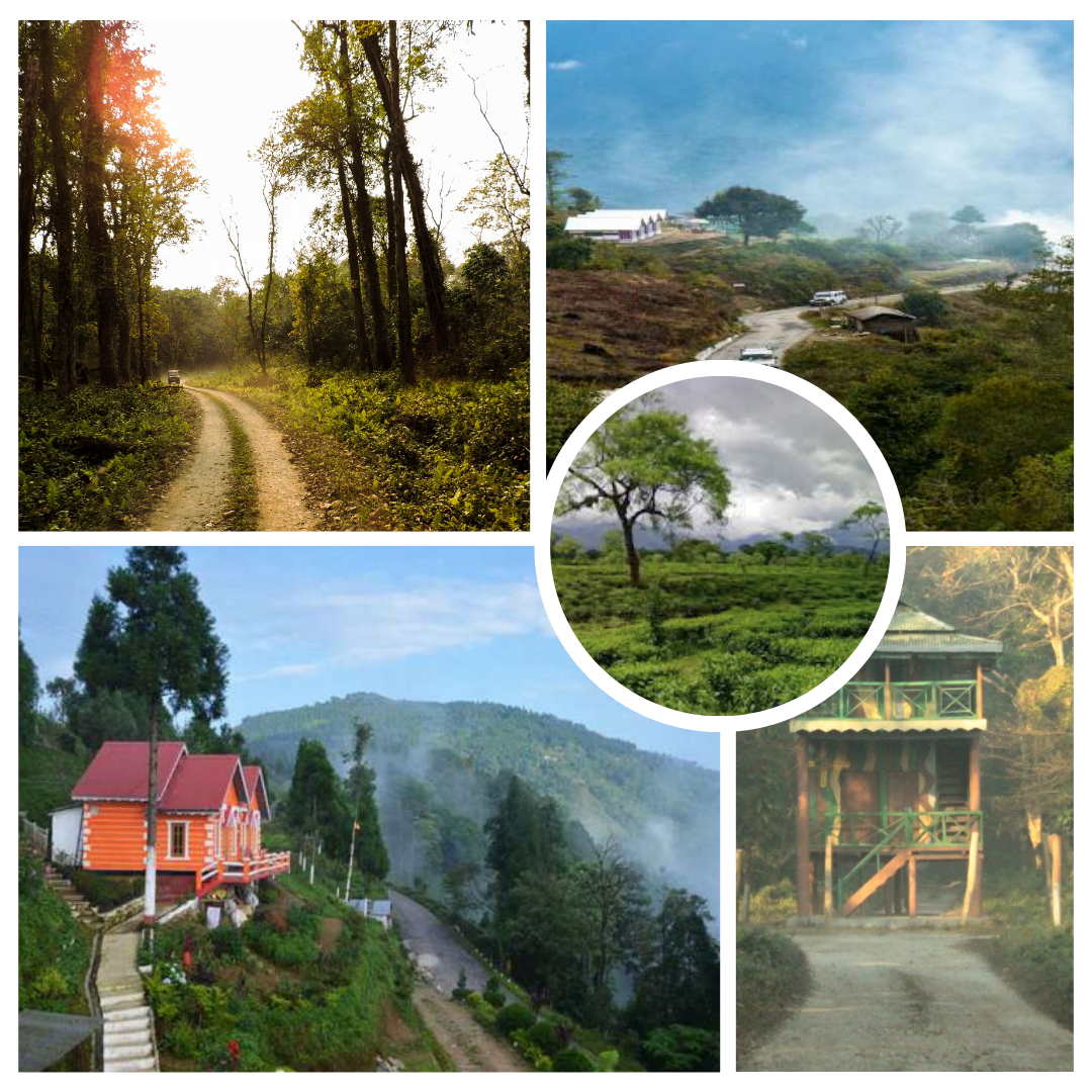 Beyond Darjeeling: Discover West Bengal’s hidden gems