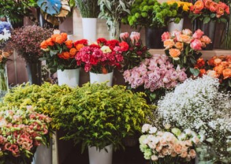 Petal Profits: Blooming business of flowers in India