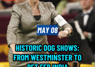 Historic dog shows: From Westminster to Pet Fed India