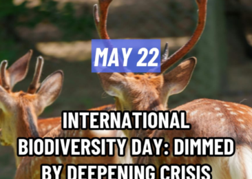 International Biodiversity Day: Dimmed by Deepening Crisis