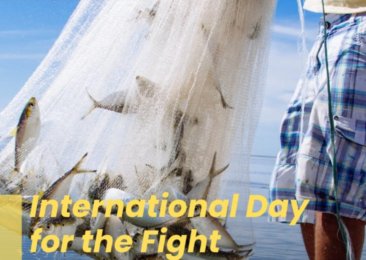 International Day for the Fight Against Illegal, Unreported and Unregulated Fishing