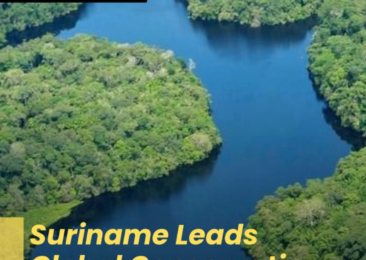Suriname Leads Global Conservation With Landmark Protection