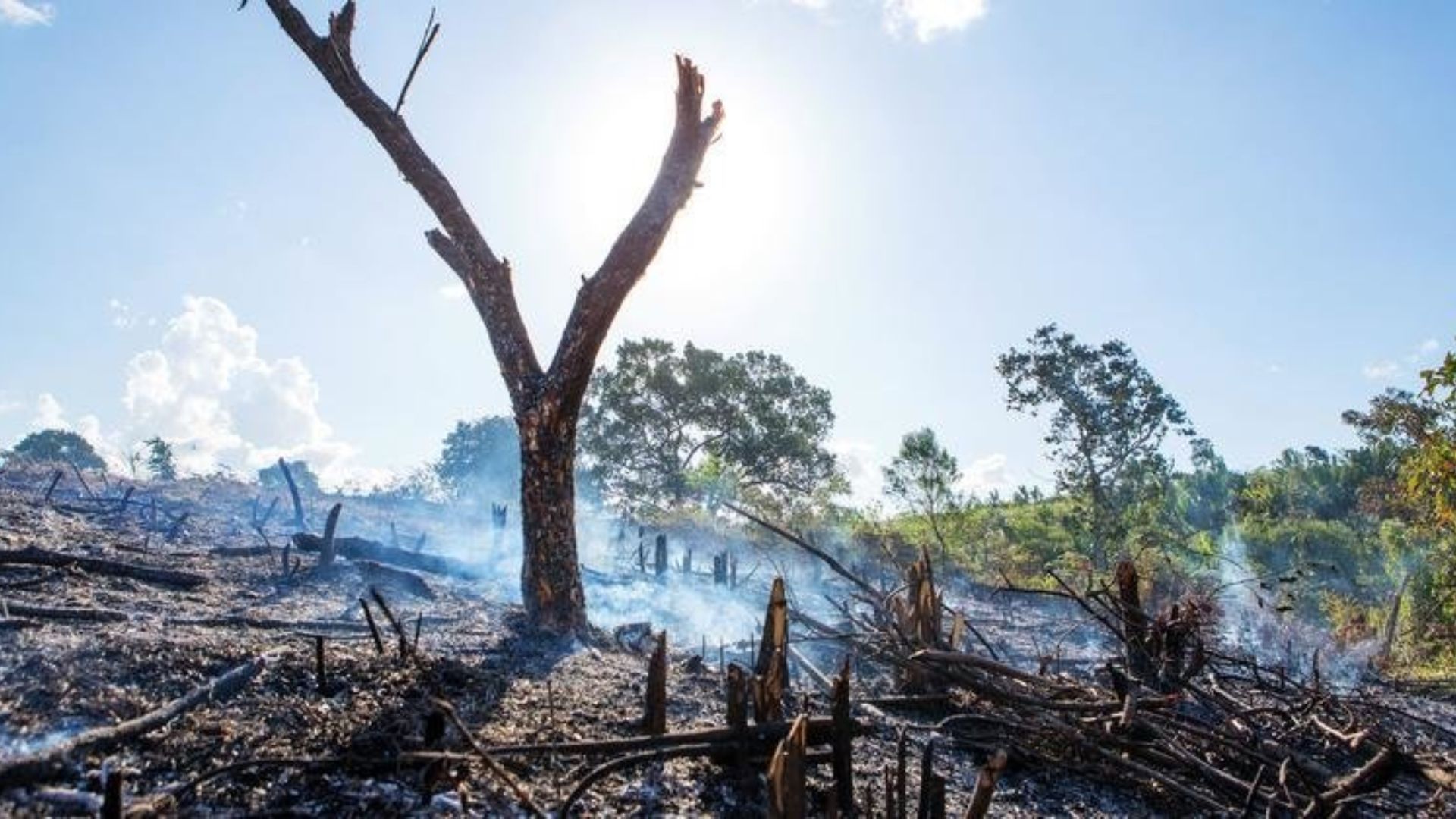 UNEP warns of climate-linked health risks and cryosphere loss