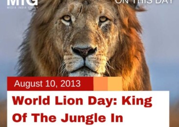 World Lion Day: King of the Jungle in Decline