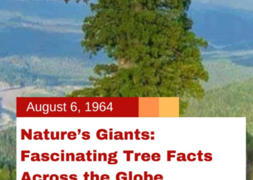 Nature’s Giants: Fascinating Tree Facts Across the Globe