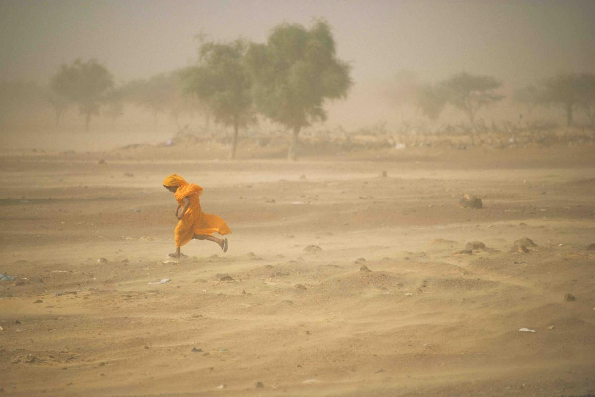 Scientists urge food system overhaul to curb global land degradation