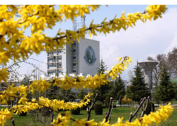 Missing placement cells in Kashmir universities undermine job prospects for students