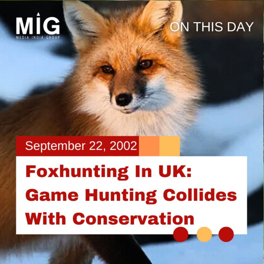 Foxhunting in UK: Game Hunting Collides with Conservation - Media India ...