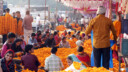 Blooming Festivities: Inside Delhi’s Ghazipur Flower Market During Diwali