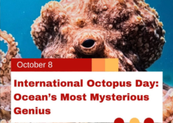 International Octopus Day: Ocean’s Most Mysterious Genius