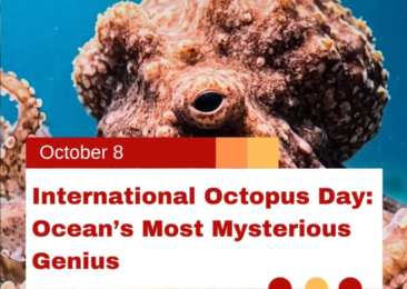 International Octopus Day: Ocean’s Most Mysterious Genius