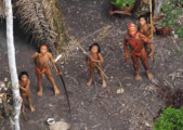Richard Gere to launch Survival International report on uncontacted tribes